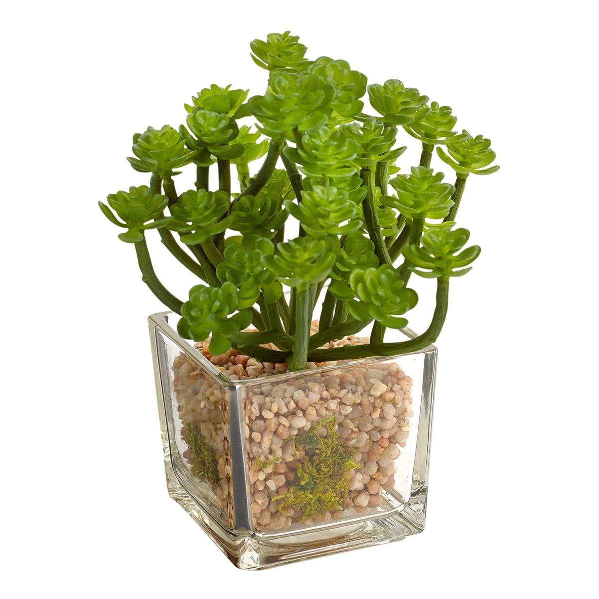 Plante artificielle Sempervivum en pot de verre