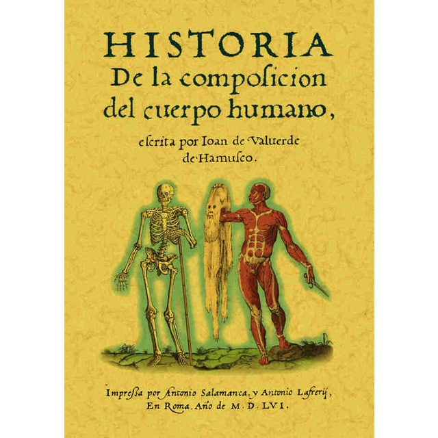Historia De La Composición Del Cuerpo Humano 1