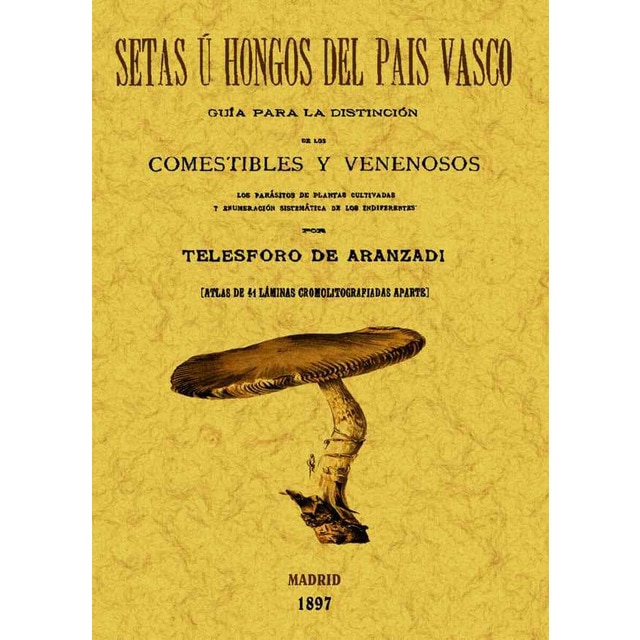 Setas U Hongos Del País Vasco 1