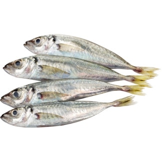 Carapau Pequeno Peso Aproximado por unidade 80 g