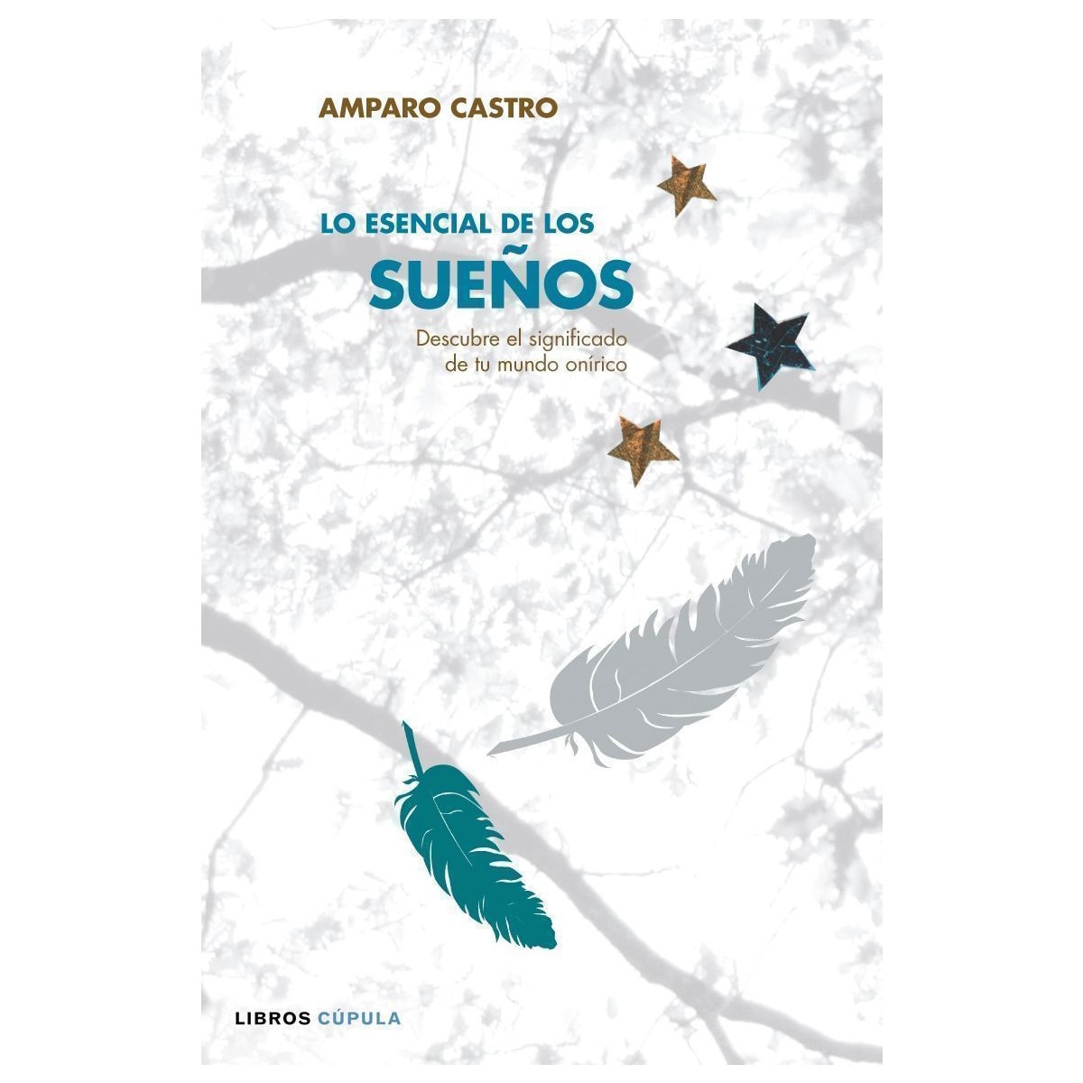 Lo esencial de los sueños(Tapa blanda) 1