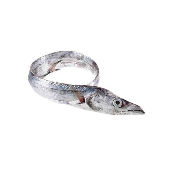 Peixe Espada Branco Peso Aproximado por unidade 1,5 kg