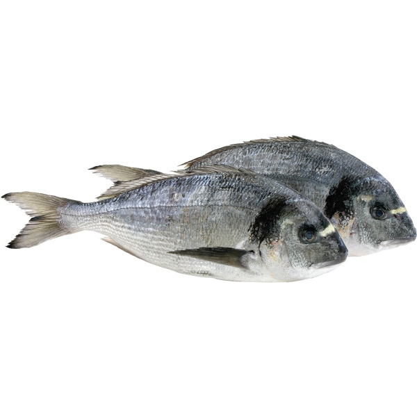 Dourada de Aquicultura Peso Aproximado por unidade 1 kg