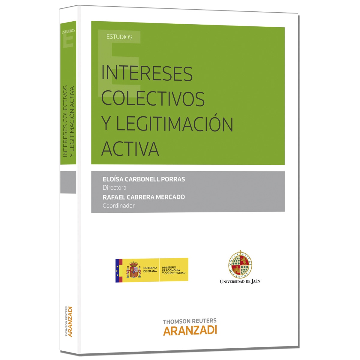 Imagem 0 de Intereses colectivos y legitimación activa(Tapa blanda)