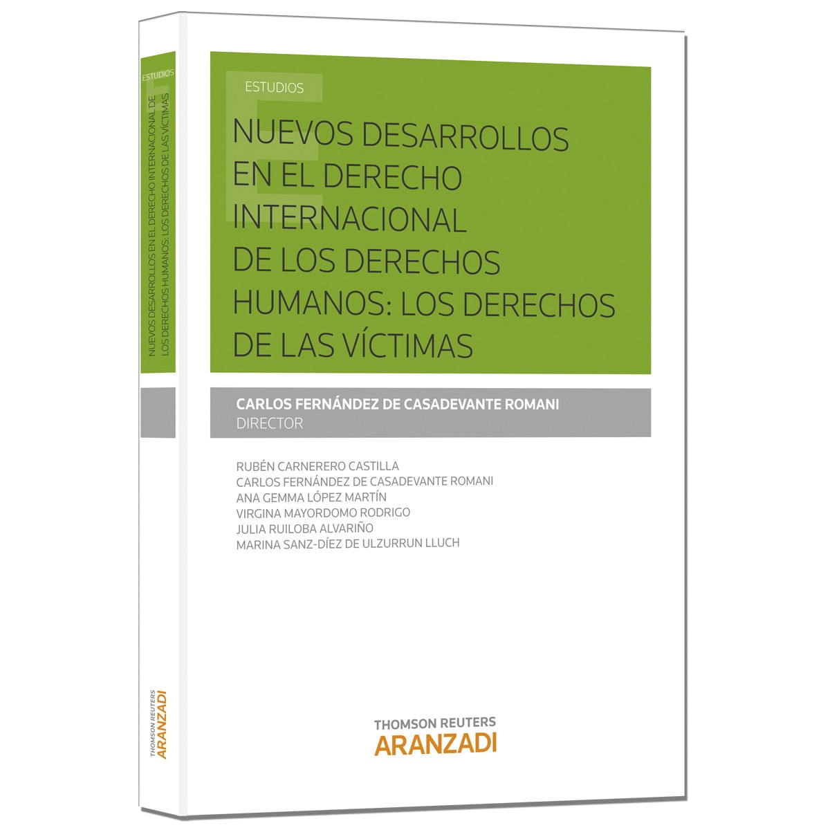 Imagem 0 de Nuevos desarrollos en el Derecho Internacional de los derechos humanos: los derechos de las víctimas (Capa mole)