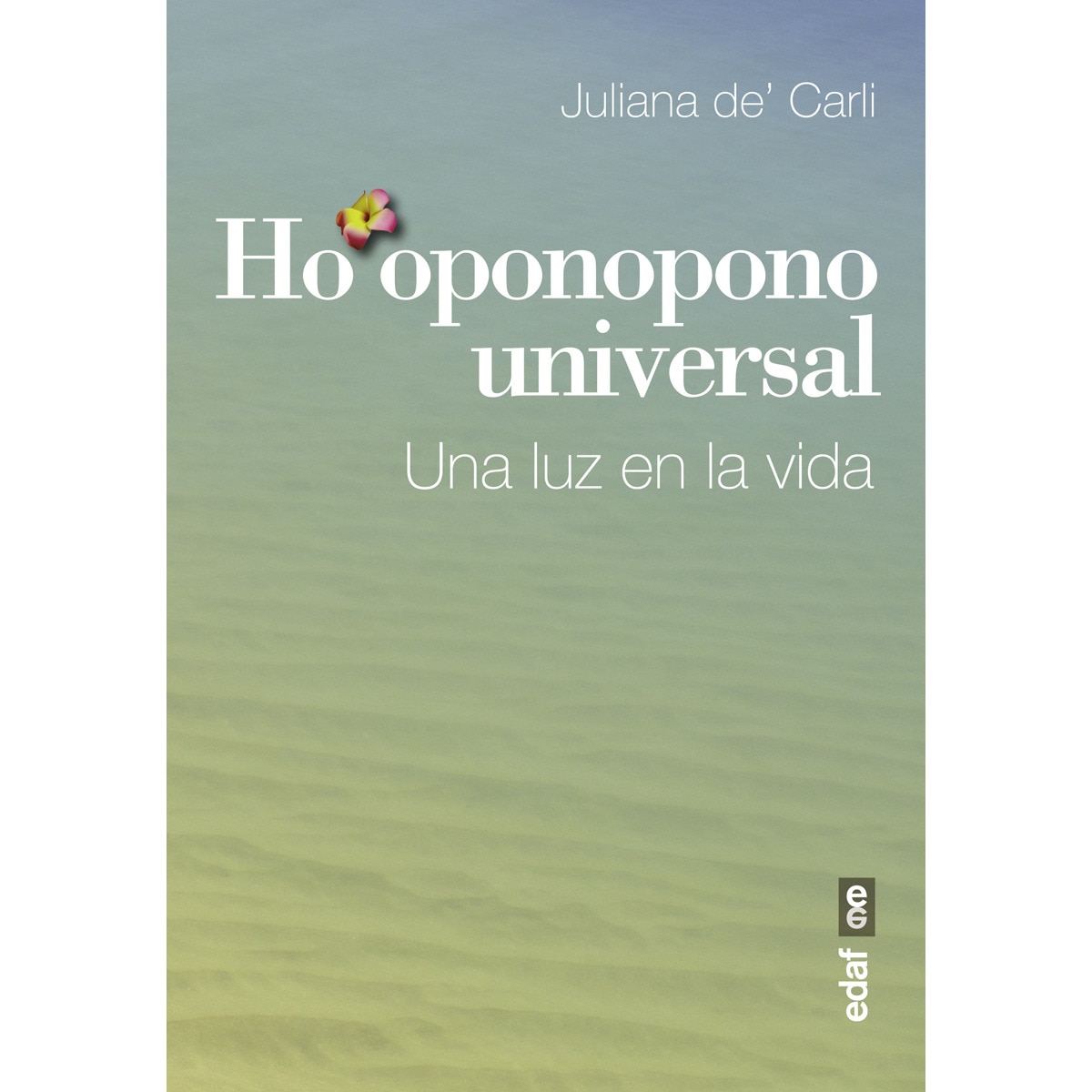 Ho'oponopono universal: Una luz en la vida (Capa mole) 1