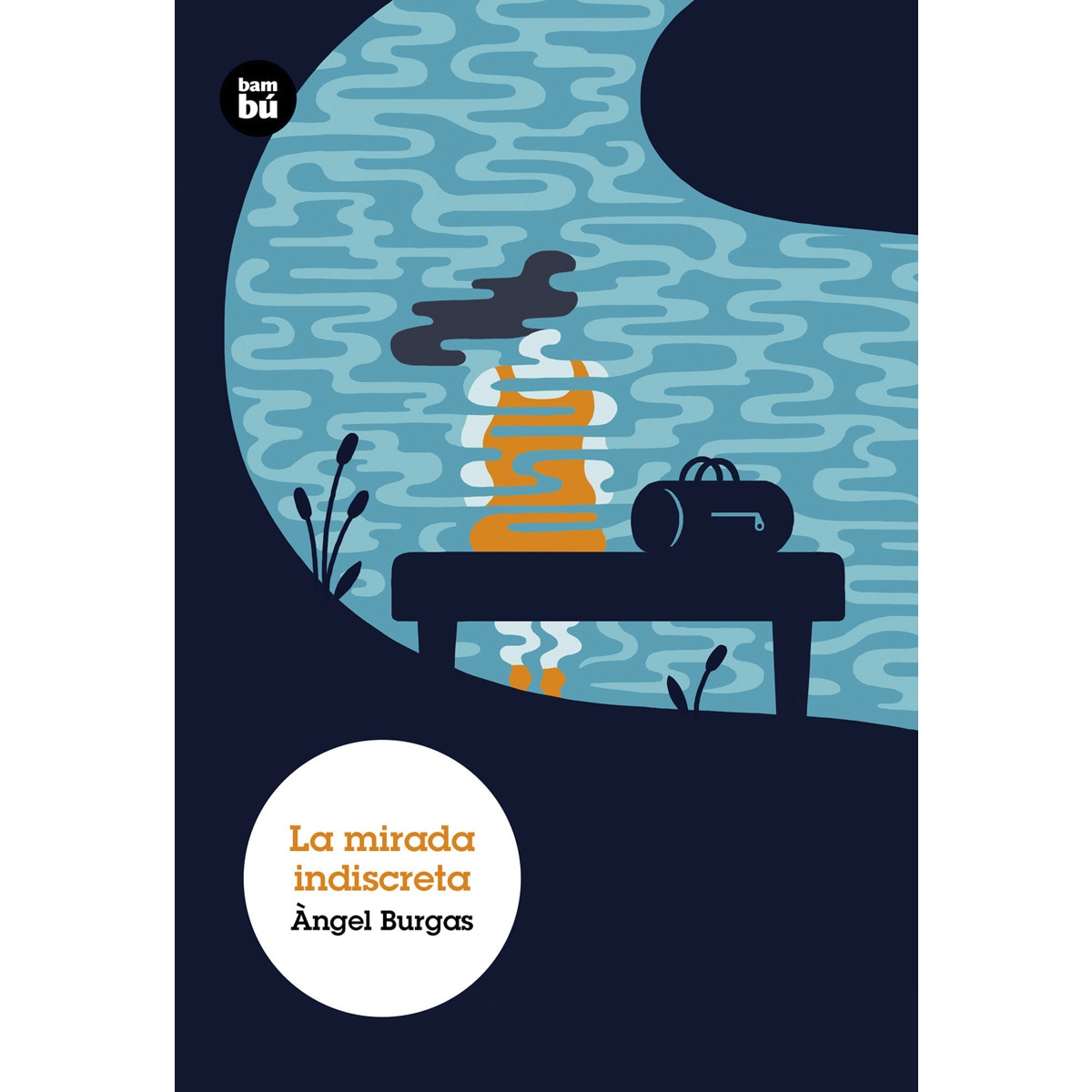 La mirada indiscreta(Tapa blanda) 1