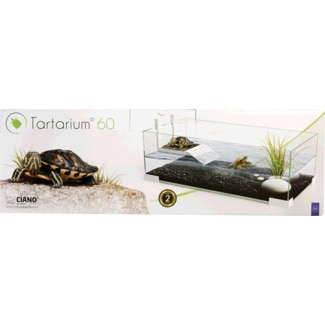 Aquário 60x30x20 cm embalagem 1 unidade - Ciano Tartarium