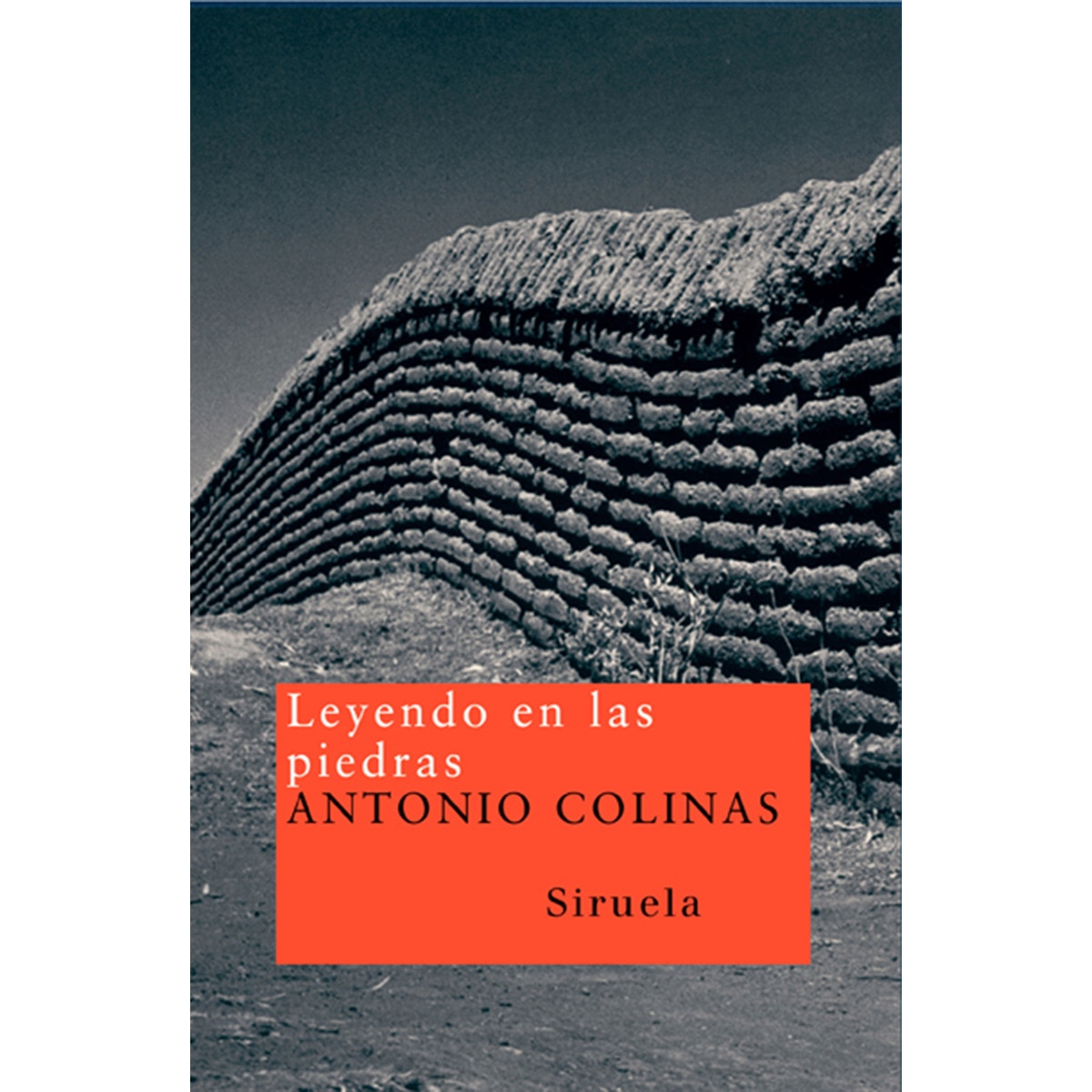 Imagen 0 de Leyendo en las piedras (Tapa blanda)
