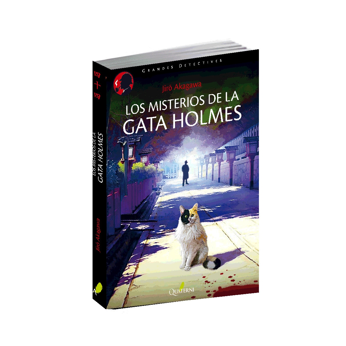 Los Misterios De La Gata Holmes 1