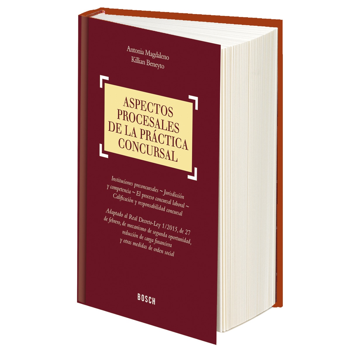 Aspectos Procesales De La Práctica Concursal 1