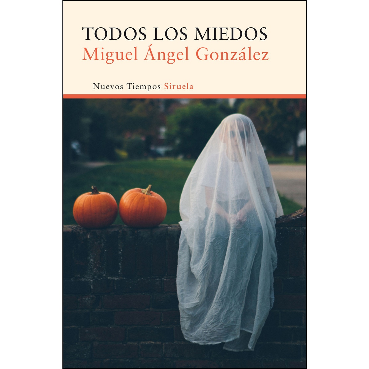 Imagem 0 de Todos los miedos(Tapa blanda)