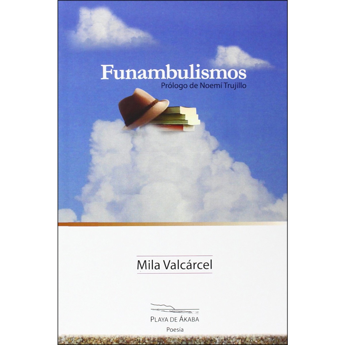 Imagem 0 de Funambulismos