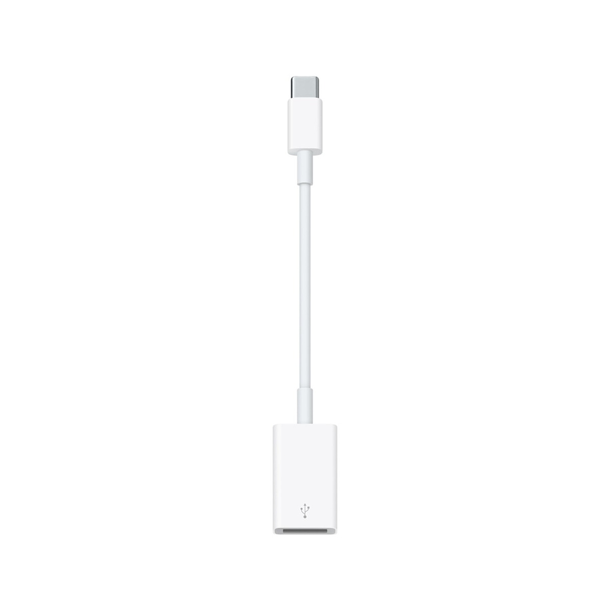 Cabo Adaptador Apple USB-C para USB 2