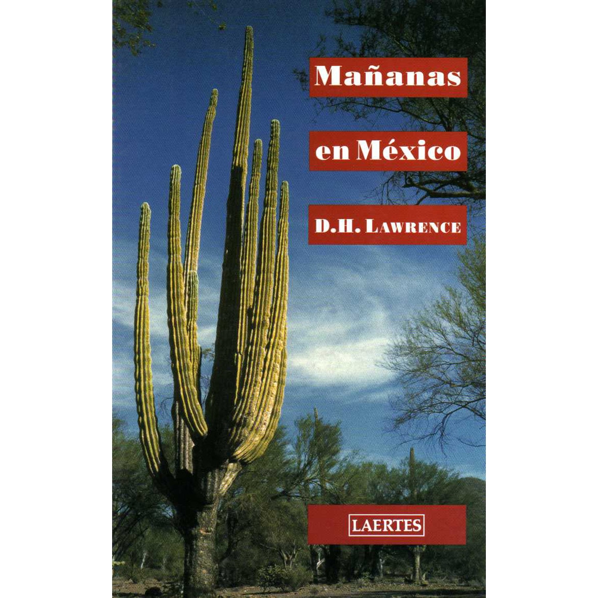 Imagen 0 de MAñANAS EN MEXICO (Tapa blanda Tapa blanda con solapas)