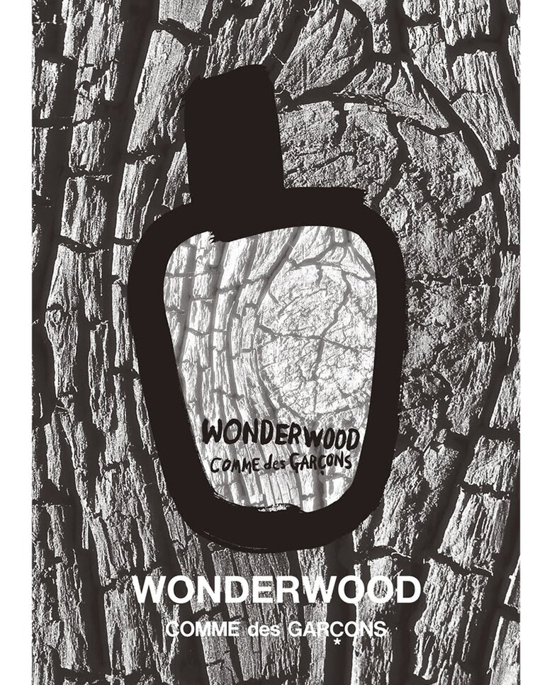 Eau de Parfum Comme des Garçons Wonderwood 50 ml · Comme des