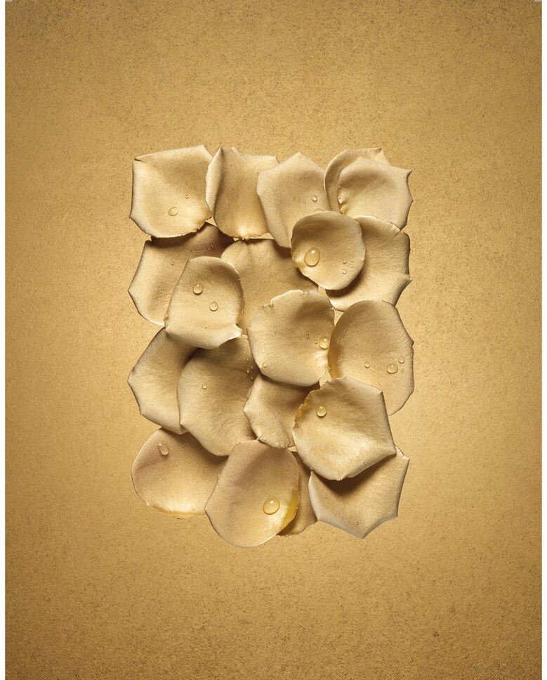 Eau de Parfum Intense Rose d'Arabie Armani Privé 100 ml Giorgio Armani 4