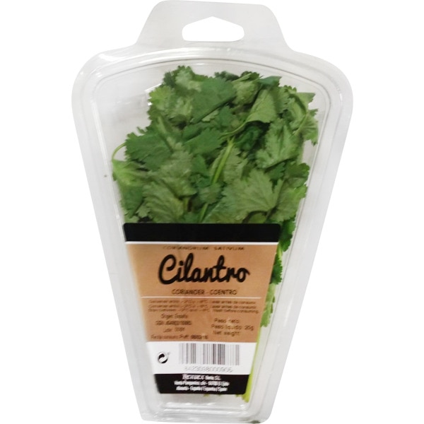 cilantro estuche 20 g