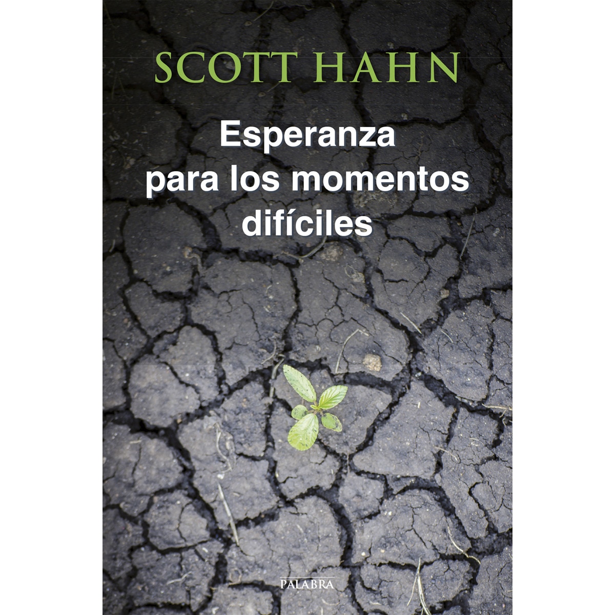 Imagem 0 de Esperanza Para Momentos Difíciles