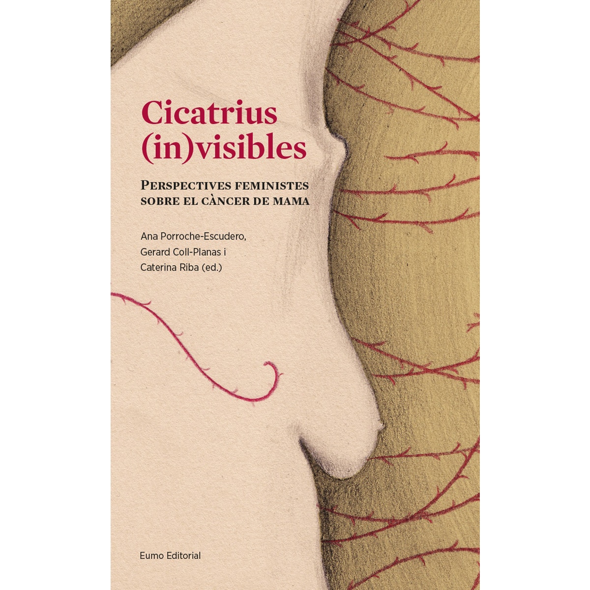 Imagem 0 de Cicatrius (in)visibles: Perspectives feministes sobre el càncer de mama(Tapa blanda)