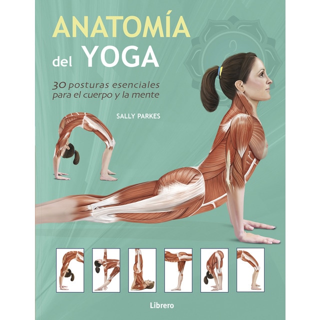 Imagem 0 de Anatom¡a del Yoga