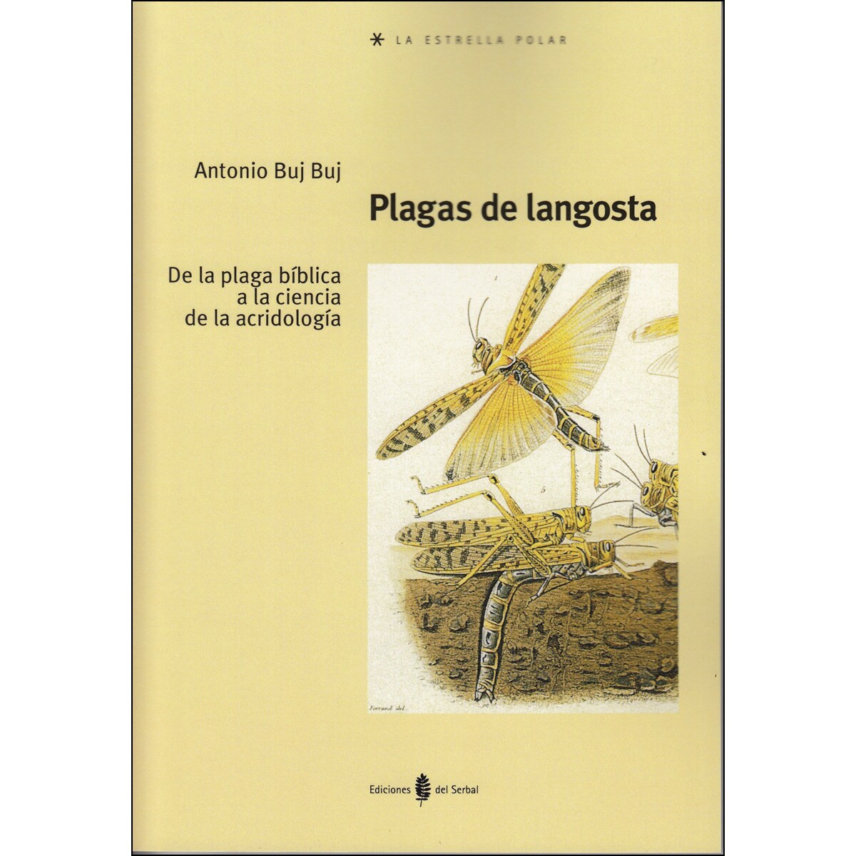 Imagem 0 de Plagas de langosta: De la plaga bíblica a la ciencia de la acridología (Capa mole)