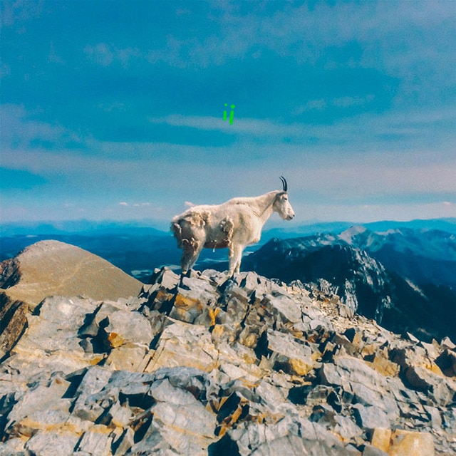 II (LP-Vinil) 1