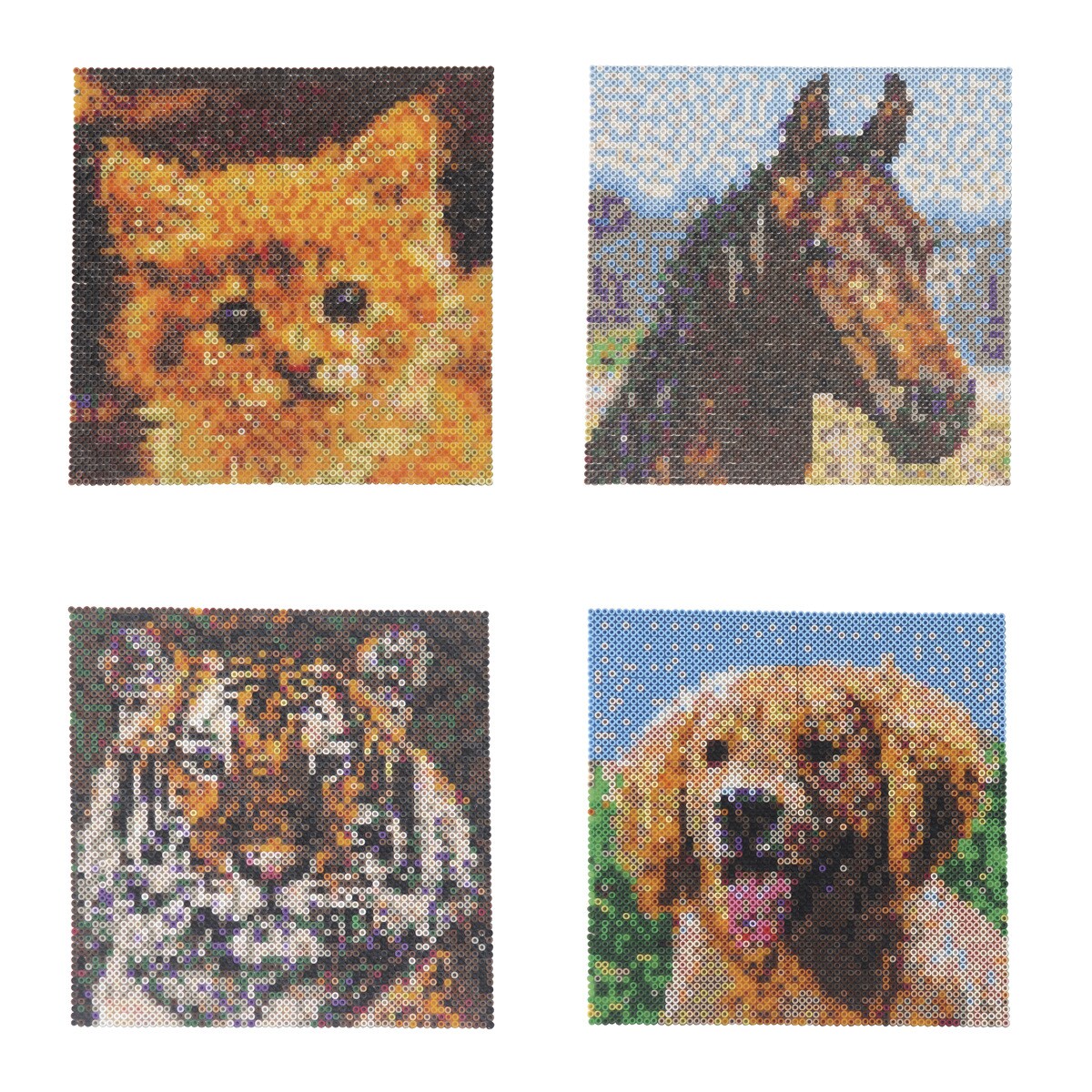 Goliath Games - Photo Pearls 3600 Animales