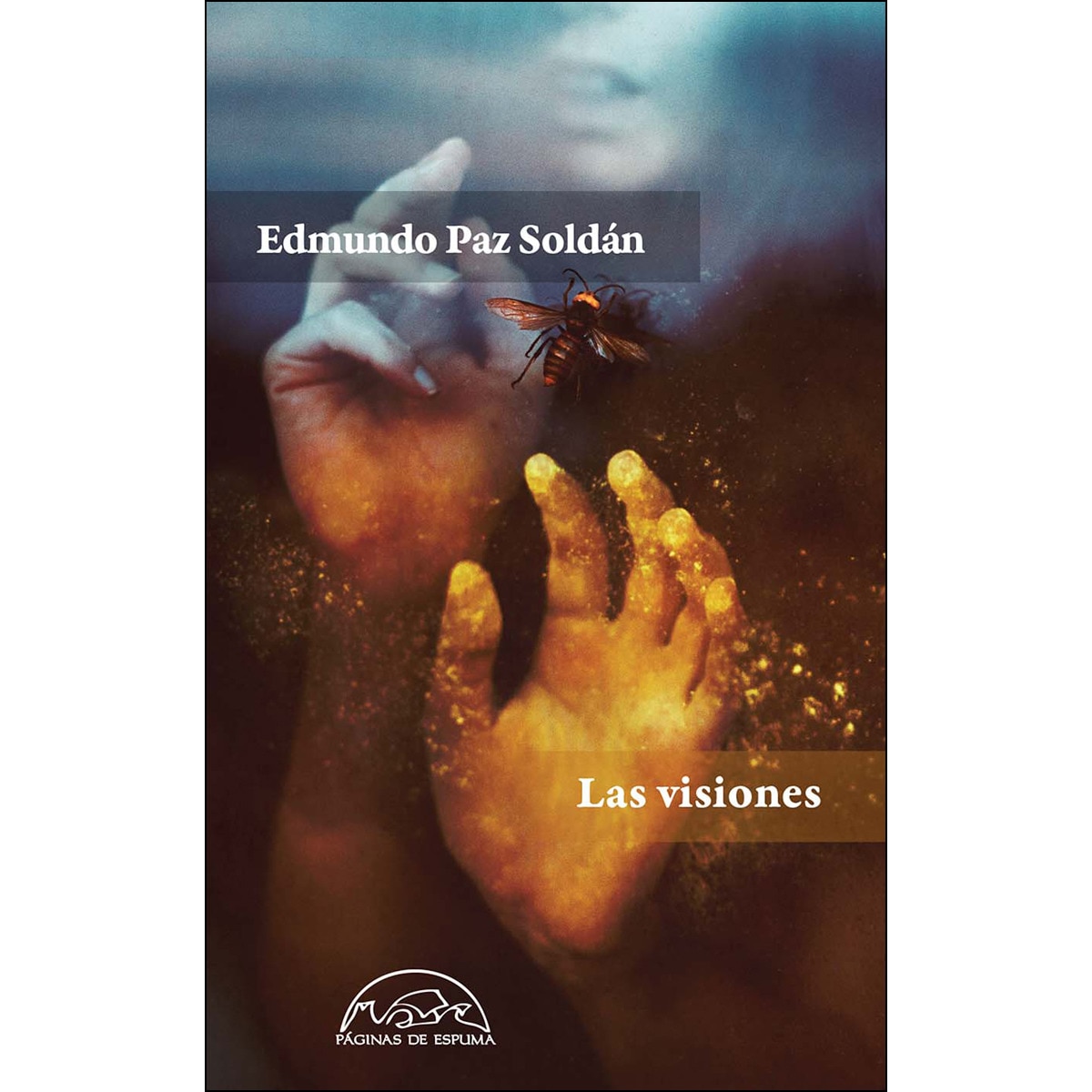 Imagem 0 de Las visiones(Tapa blanda)