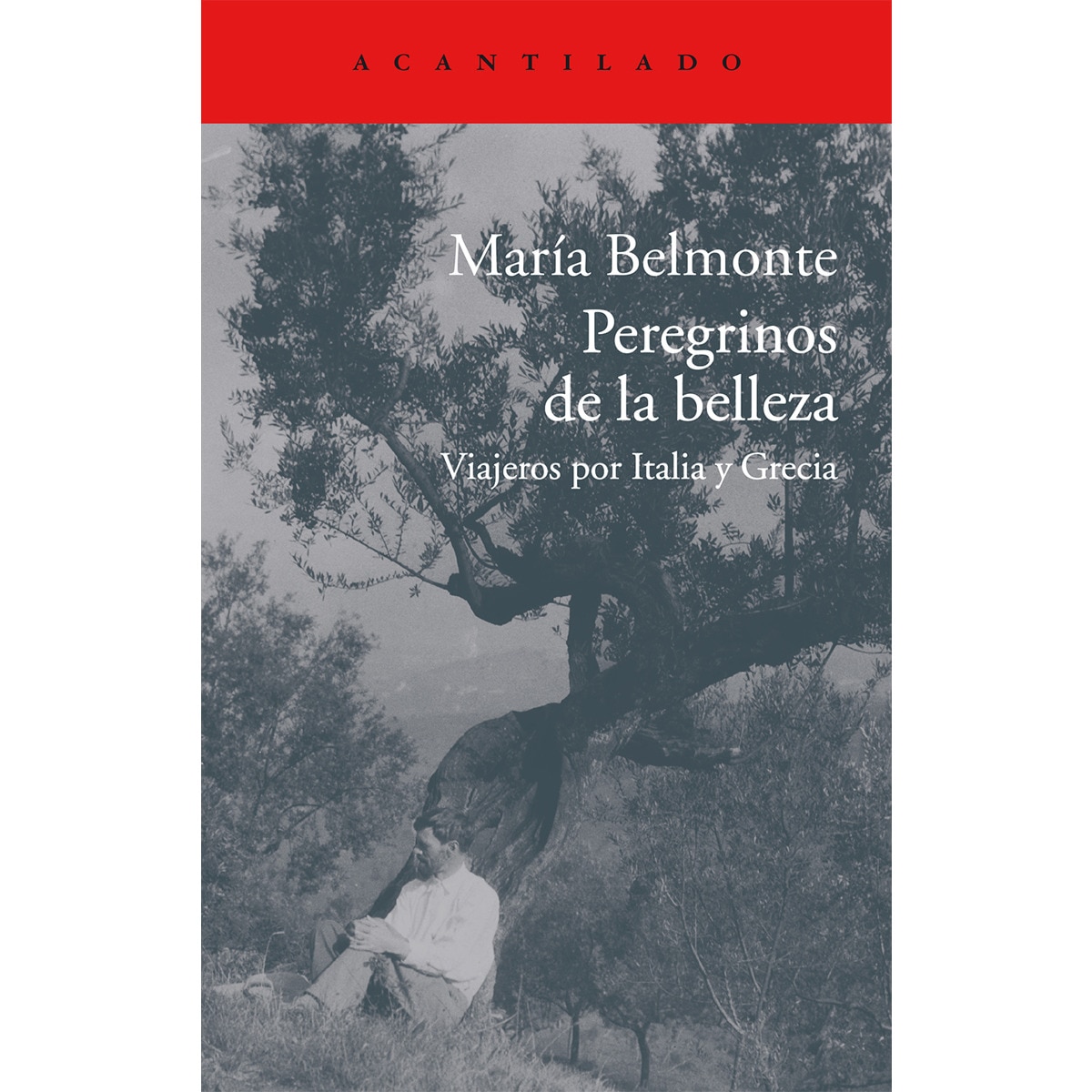 Imagem 0 de Peregrinos de la belleza: Viajeros por Italia y Grecia (Capa mole)