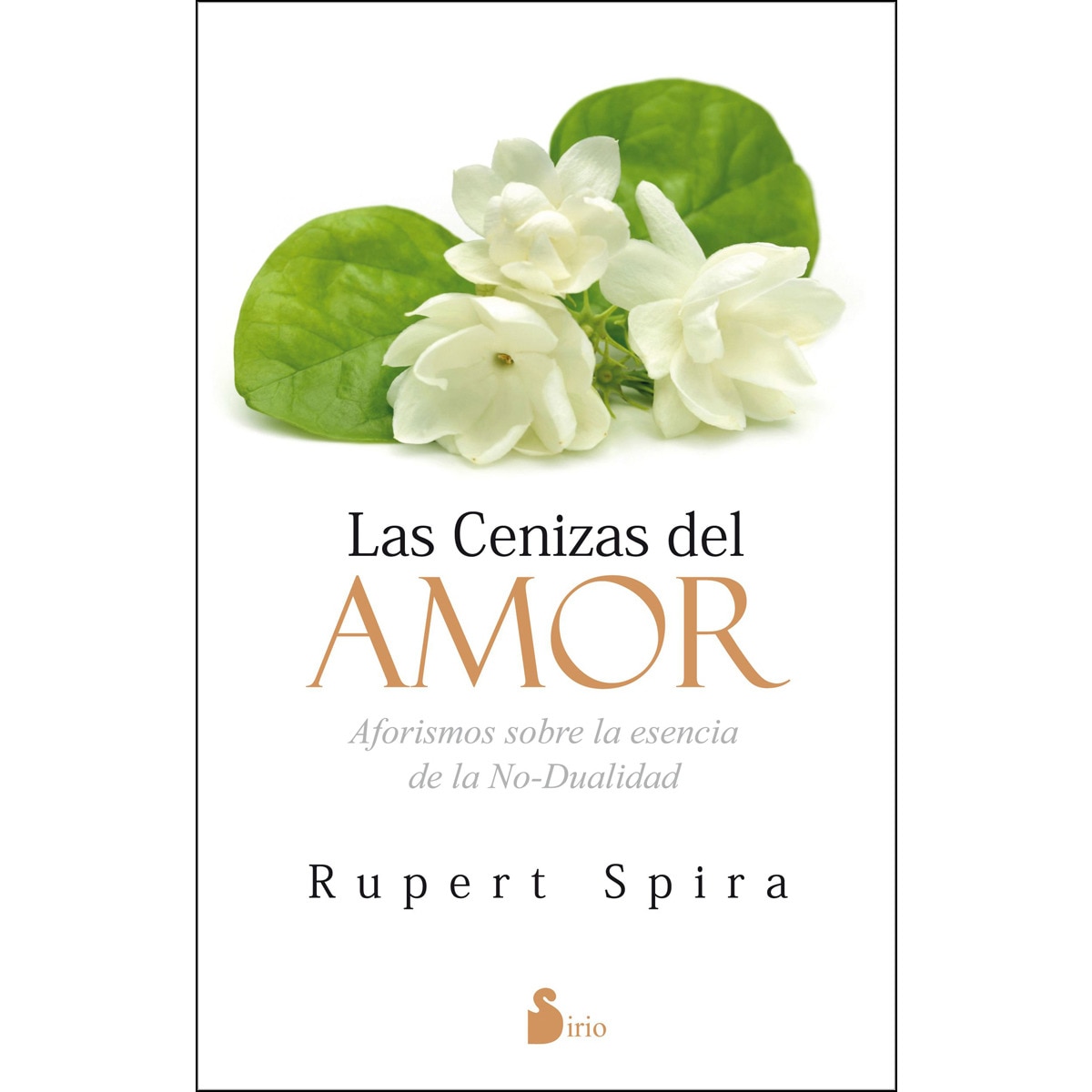 Imagem 0 de Las cenizas del amor