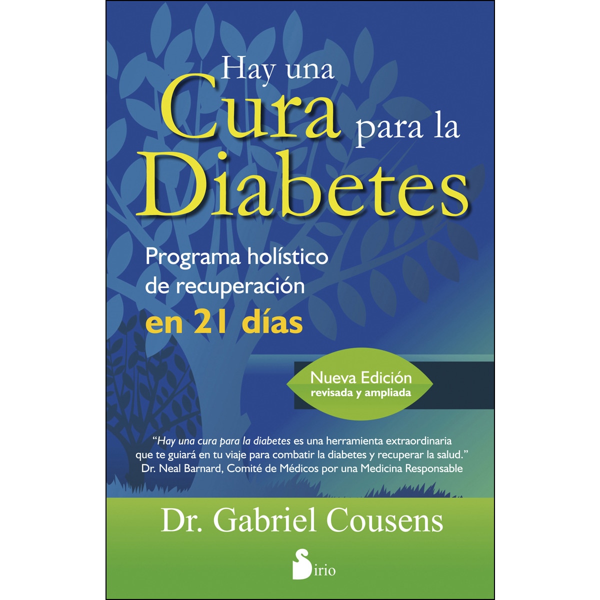 Imagem 0 de HAY UNA CURA PARA LA DIABETES: PROGRAMA HOLISTICO DE RECUPERACION EN 21 DIAS (Capa mole)