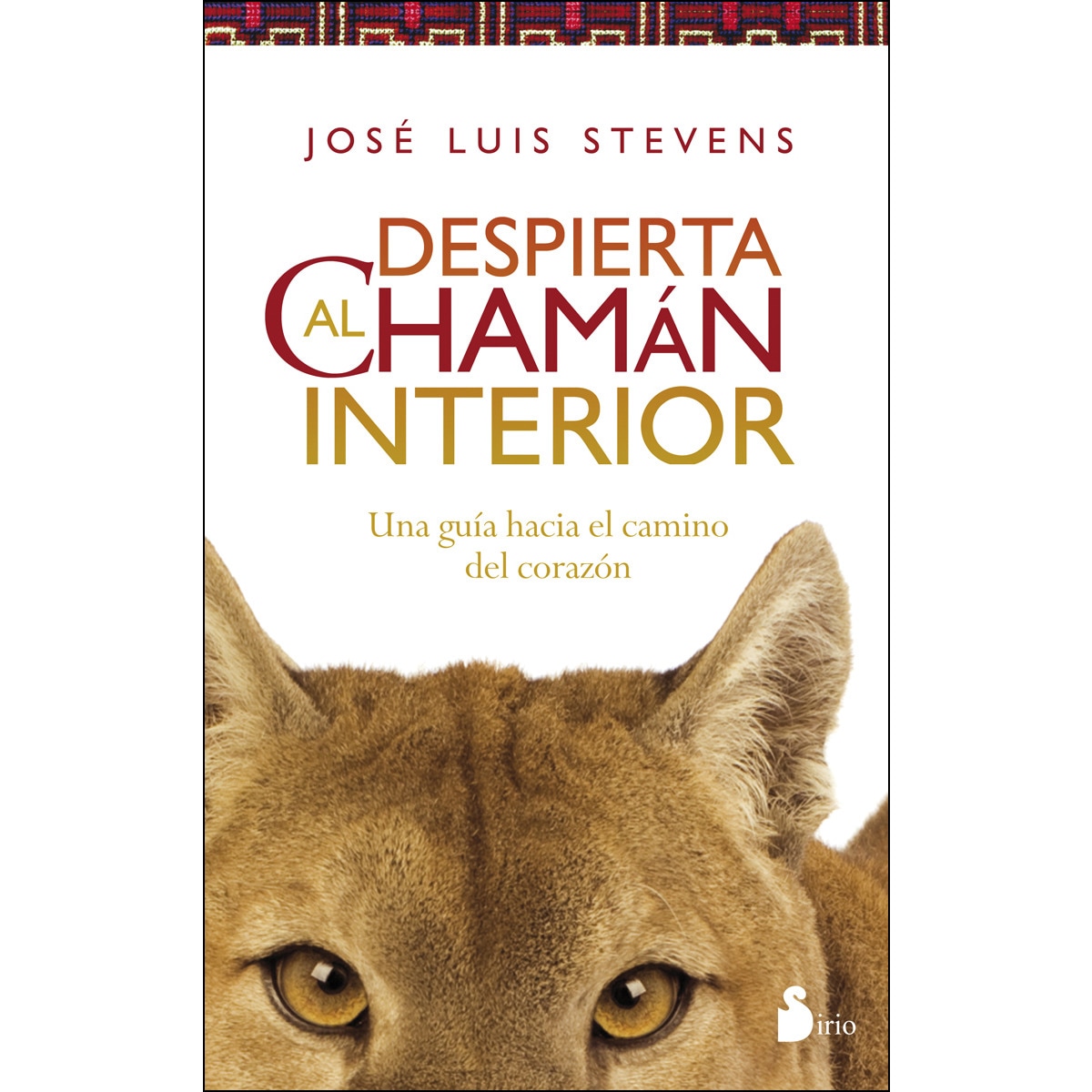 Despierta al chamán interior 1