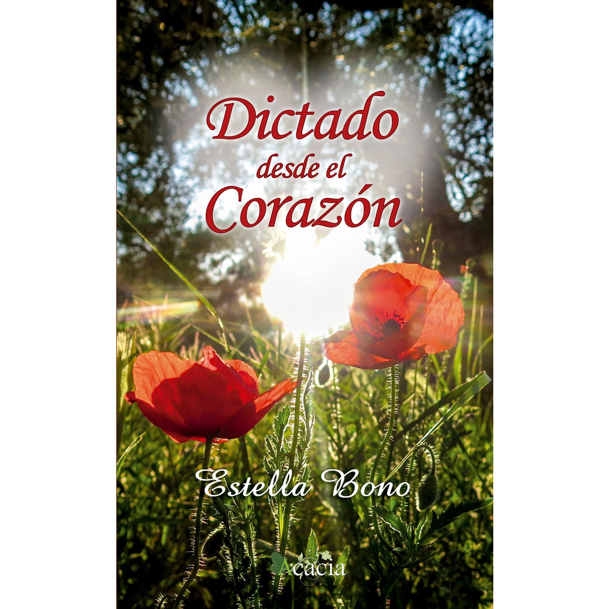 Dictado Desde El Corazón 1