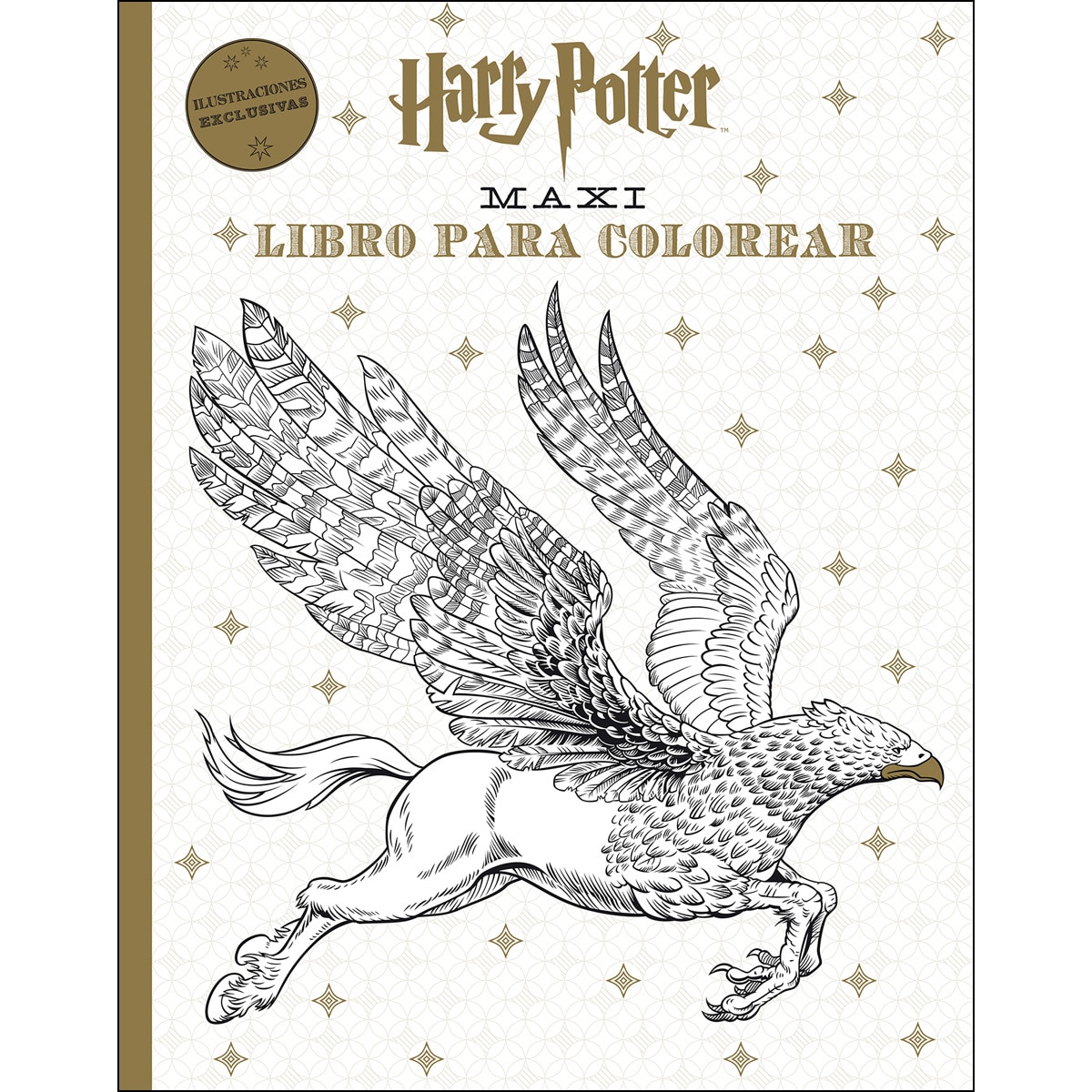 Harry Potter Maxi libro para colorear 1