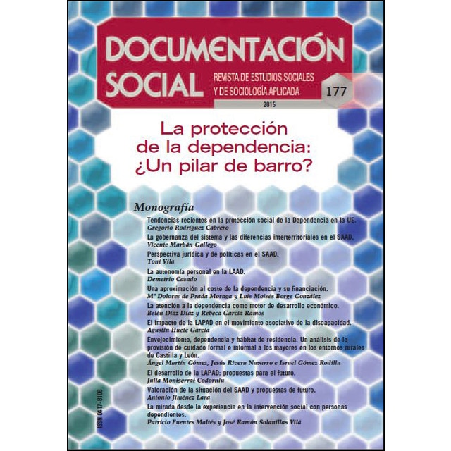 La Protección Dependencia ¿Un Pilar De Barro? 1