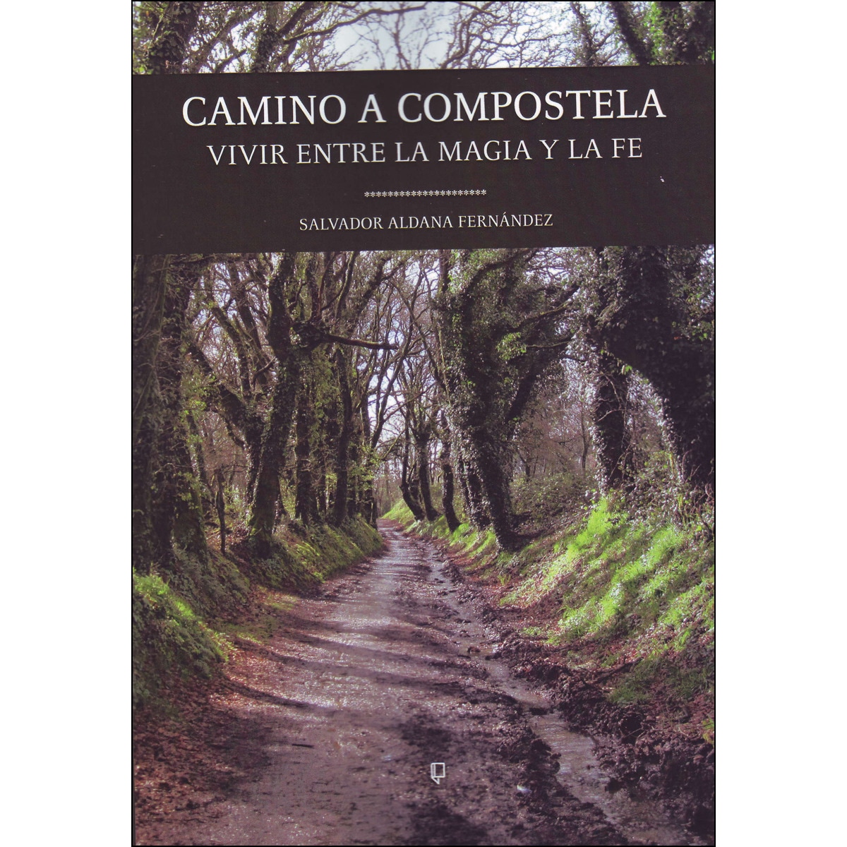 Imagem 0 de Camino A Compostela Vivir Entre La Magia Y La Fe