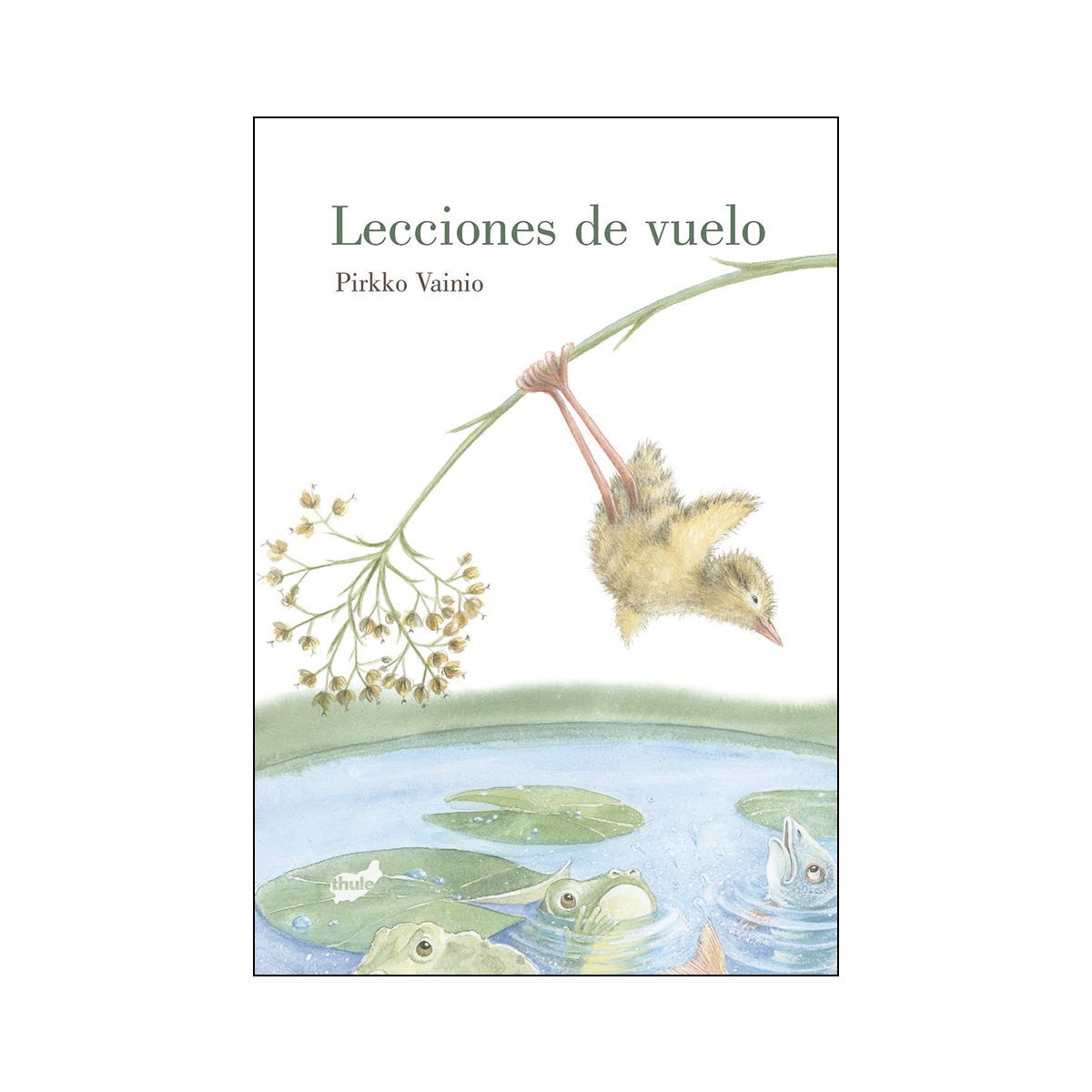 Lecciones De Vuelo 1