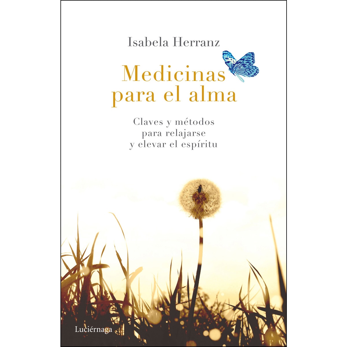 Imagen 0 de Medicinas para el alma: Claves y métodos para relajarse y elevar el espíritu  (Tapa blanda con solapas)