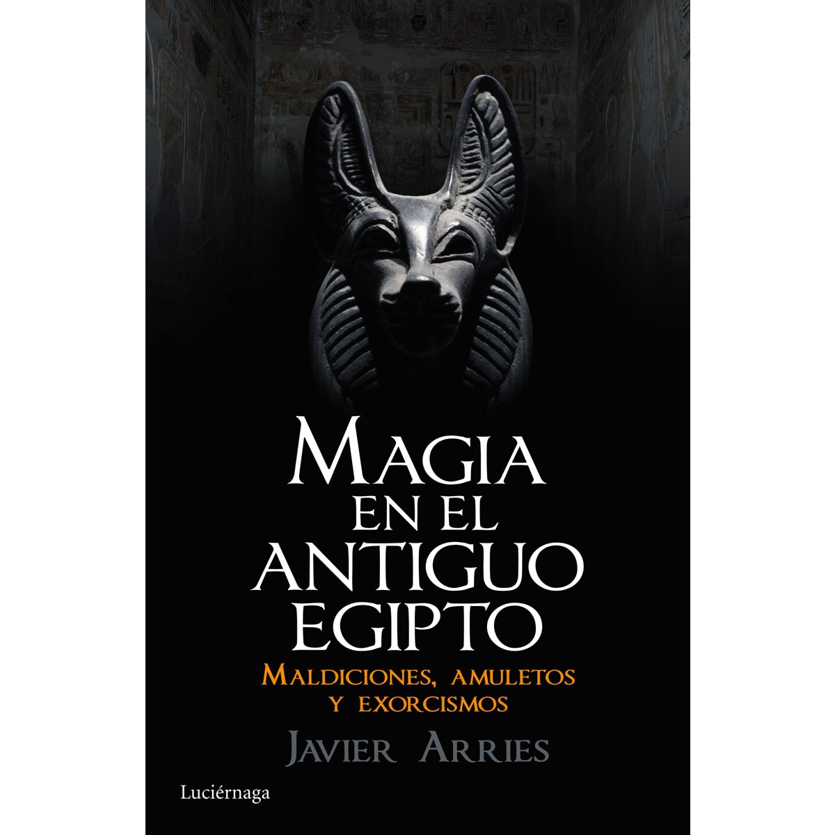 Imagem 0 de Magia en el Antiguo Egipto: Maldiciones, amuletos y exorcismos (Capa mole com abas)