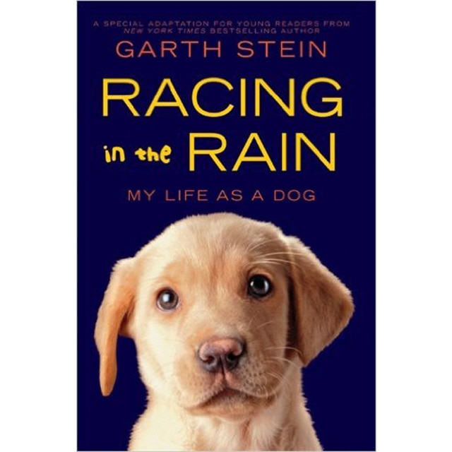 Imagen 0 de Racing in the rain