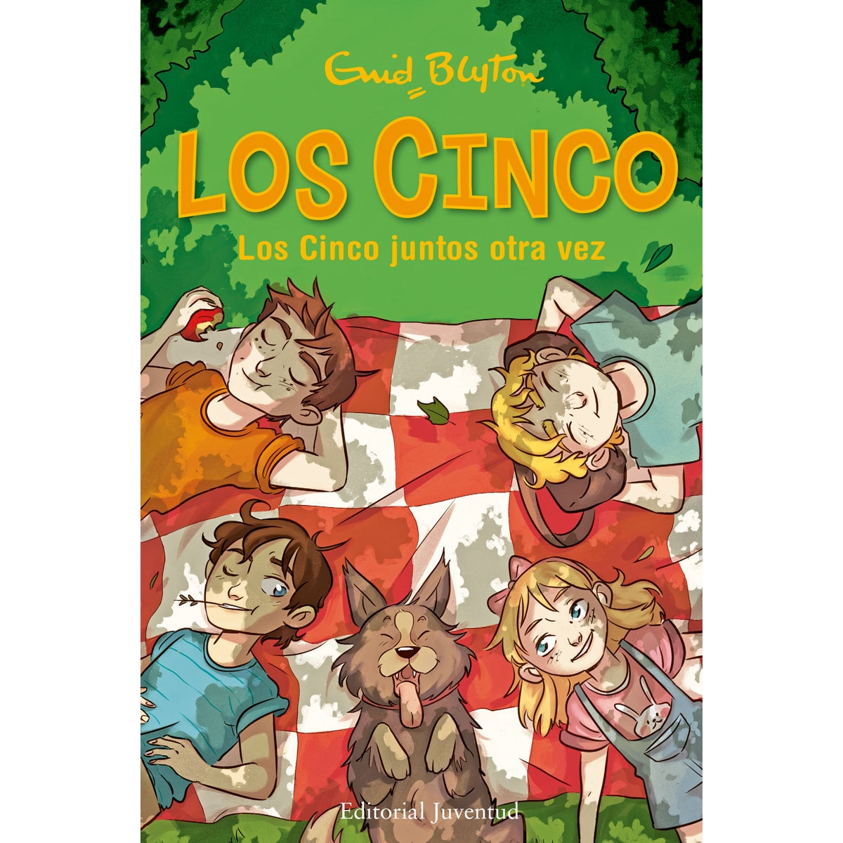 Los Cinco juntos otra vez (Capa dura) 1