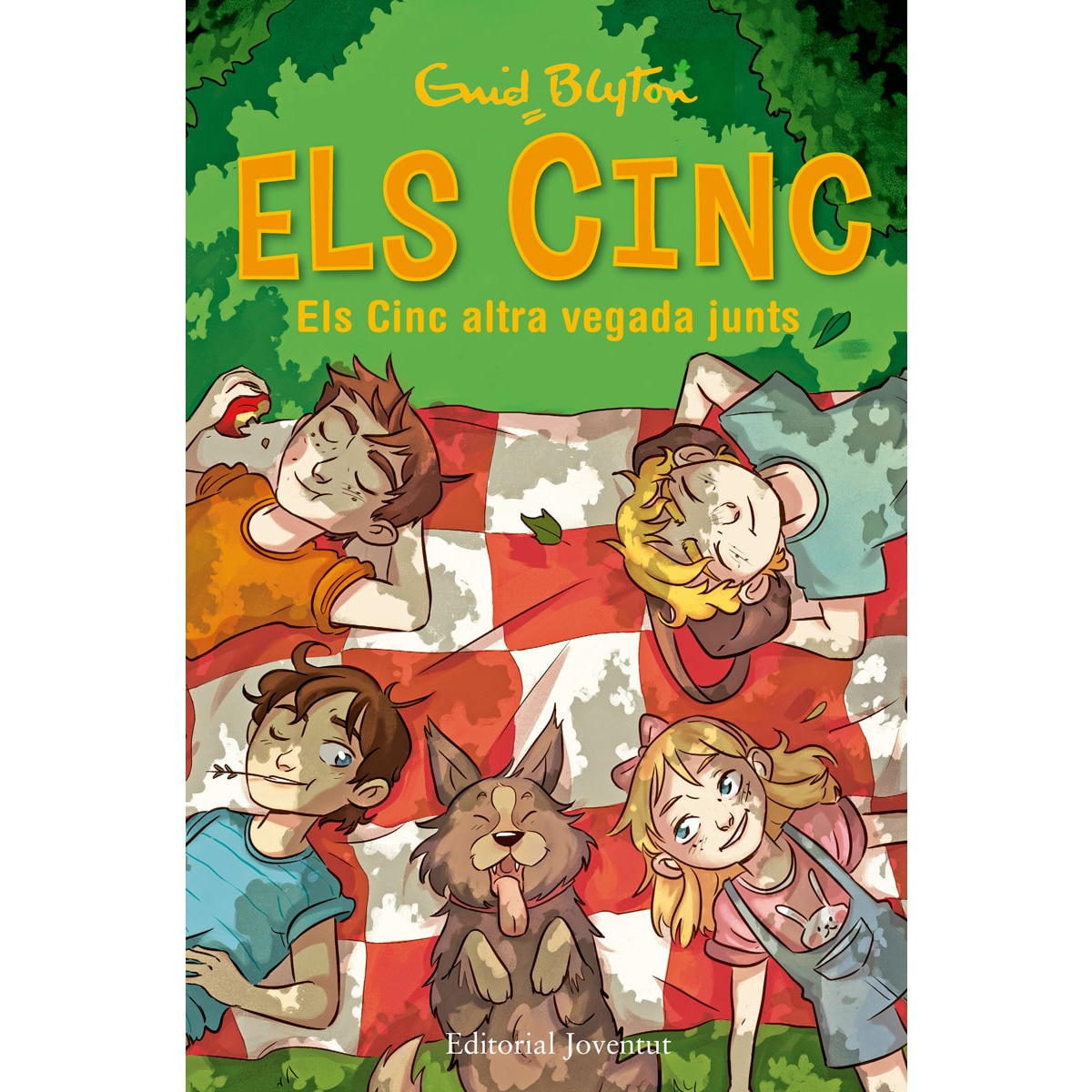 Els Cinc altra vegada junts (Capa dura) 1