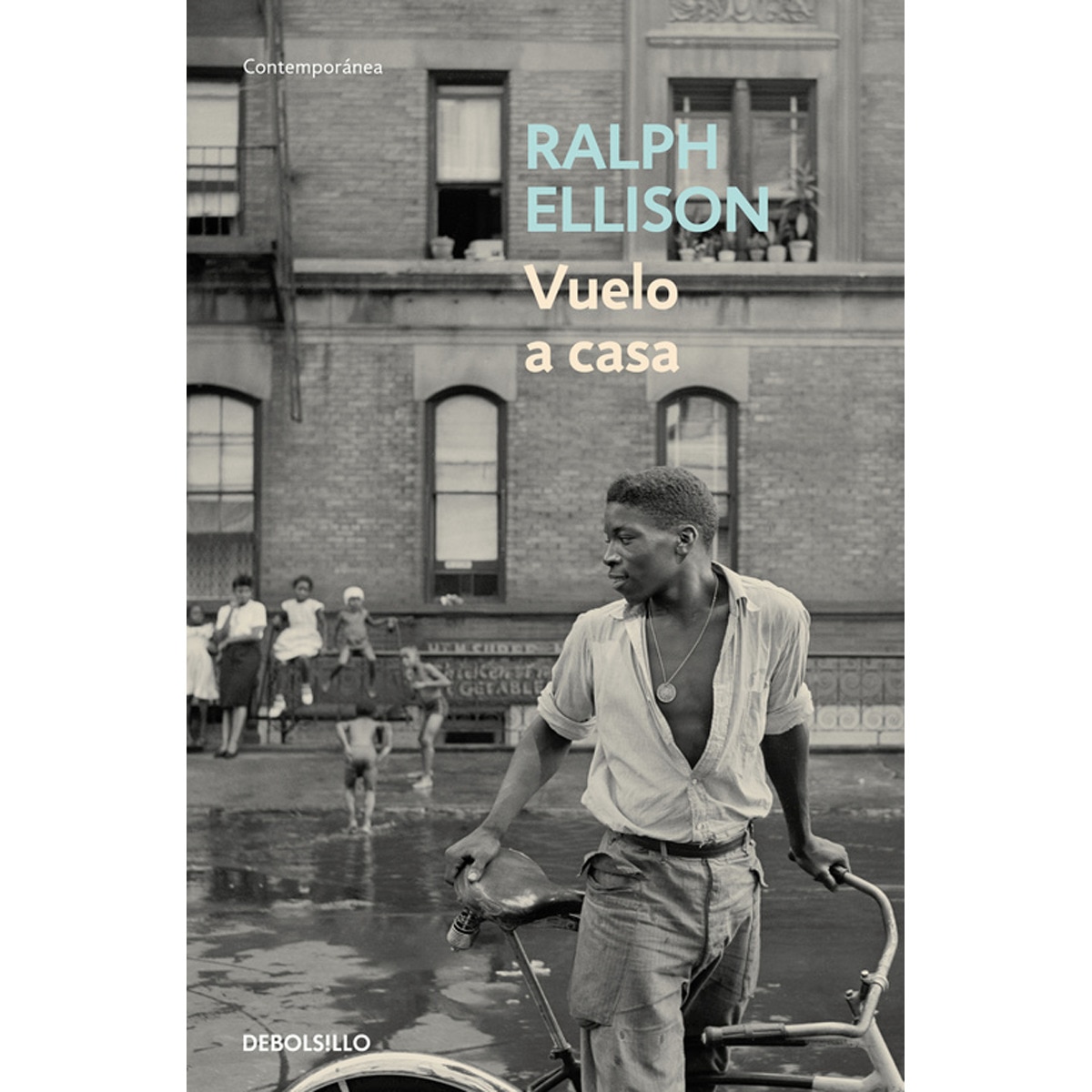 Imagem 0 de Vuelo a casa(Bolsillo) (Tapa blanda)