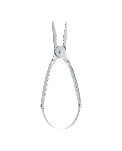 Imagem 0 de Pinças para mariscos