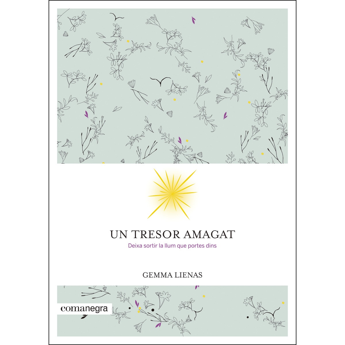 Un Tesoro Escondido 1