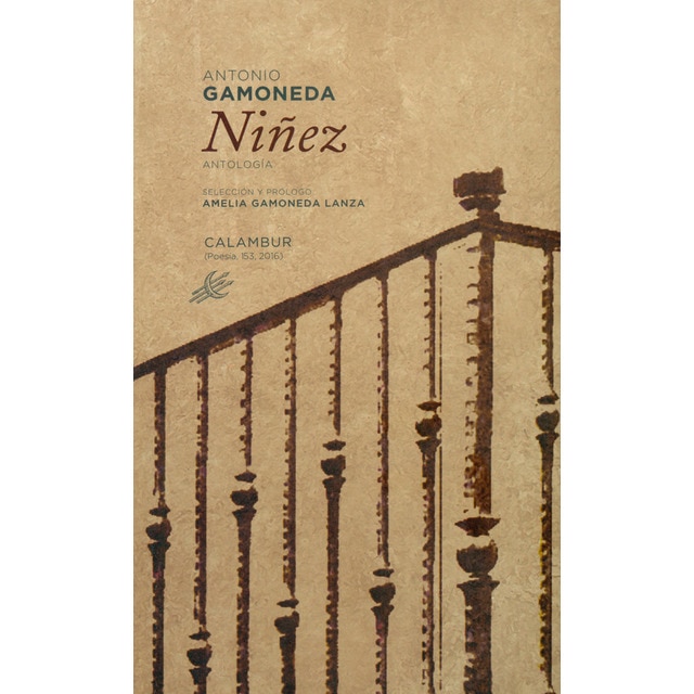 Imagen 0 de Niñez (Tapa blanda)