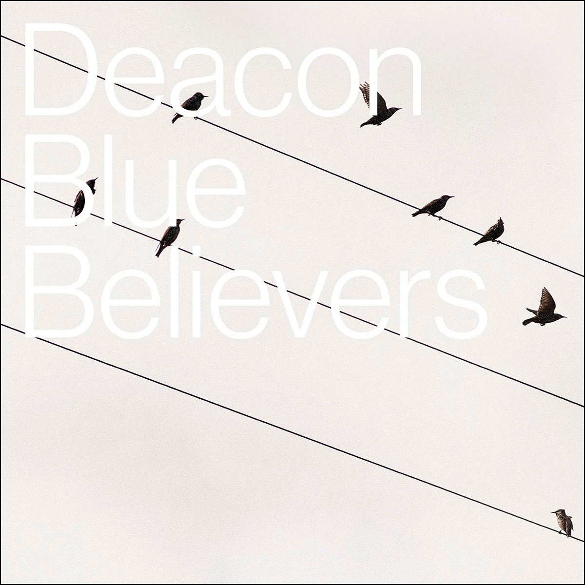 Imagen 0 de Believers (Cassette + 2CD)