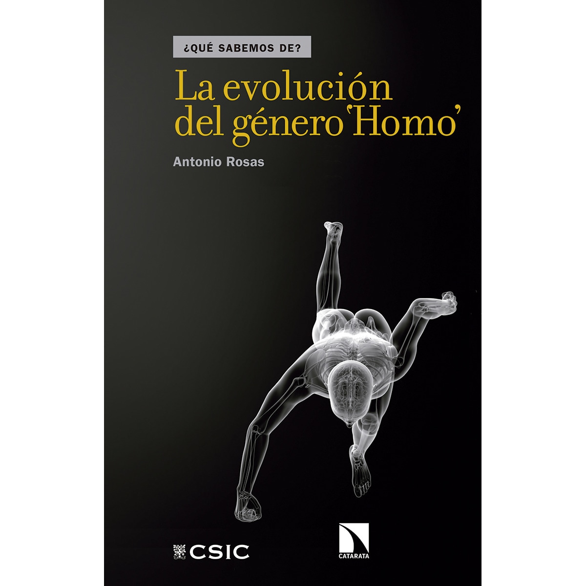 La Evolución Del Género Homo 1