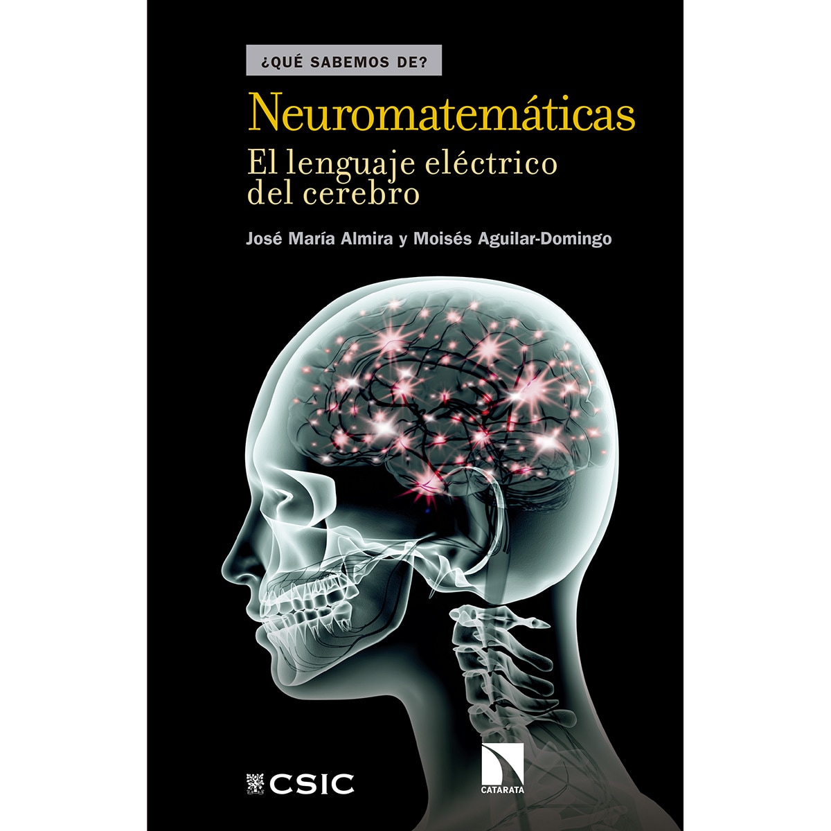 Neuromatemáticas 1